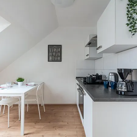 T&k - 20 Min To Messe Dus アパート *